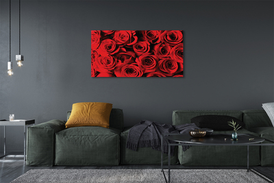 Obraz canvas ruže