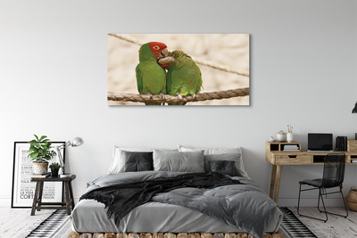 Obraz na plátne zelené papagáje
