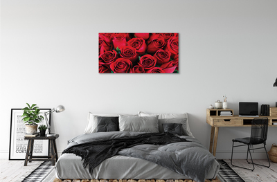 Obraz canvas ruže