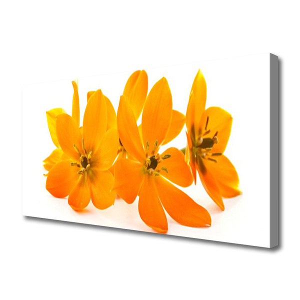 Obraz na plátne Oranžové kvety