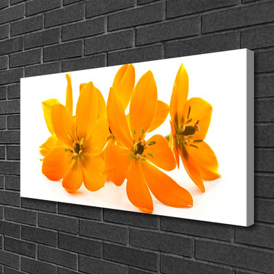 Obraz na plátne Oranžové kvety