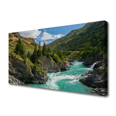 Obraz na plátne Hory rieka príroda
