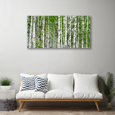 Obraz na plátne Breza les stromy príroda