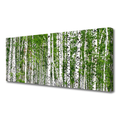 Obraz na plátne Breza les stromy príroda