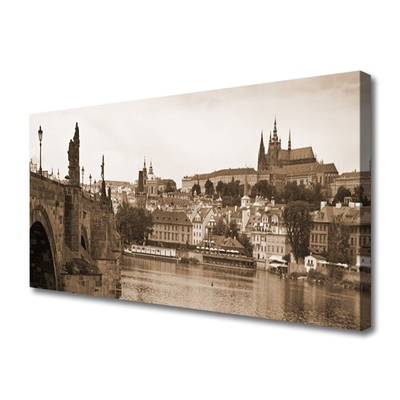Obraz na plátne Praha most krajina