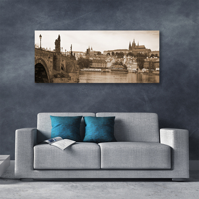 Obraz na plátne Praha most krajina
