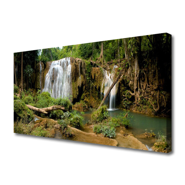 Obraz na plátne Vodopád rieka les príroda