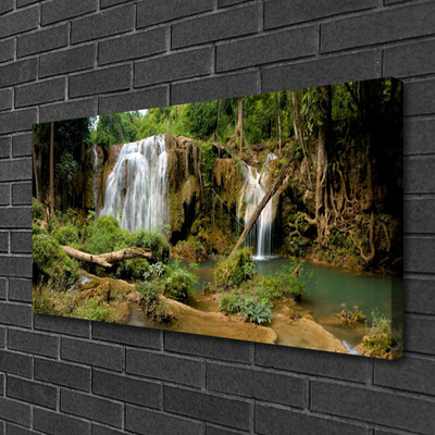 Obraz na plátne Vodopád rieka les príroda