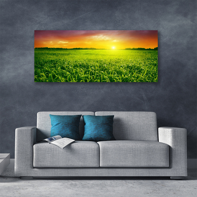 Obraz na plátne Obilie pole východ slnka