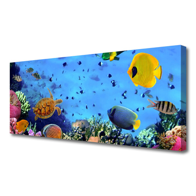 Obraz na plátne Koralový útes ryba príroda