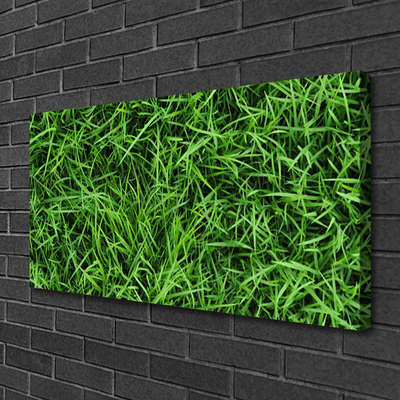 Obraz na plátne Tráva trávnik
