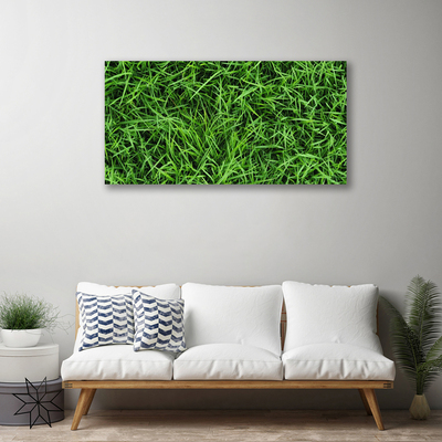 Obraz na plátne Tráva trávnik