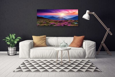 Obraz na plátne Hora lúka kvety príroda