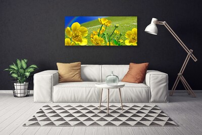 Obraz na plátne Lúka kvety dúha príroda