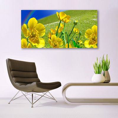 Obraz na plátne Lúka kvety dúha príroda