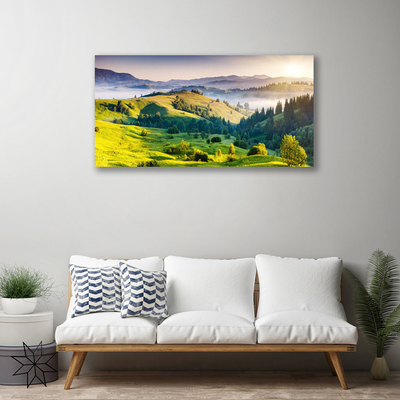 Obraz na plátne Hora pole hmla príroda