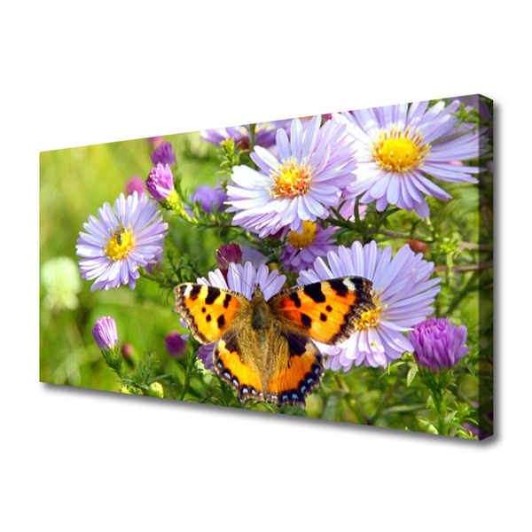 Obraz na plátne Kvety motýľ príroda