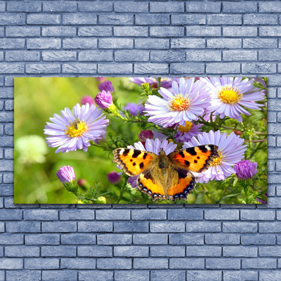 Obraz na plátne Kvety motýľ príroda