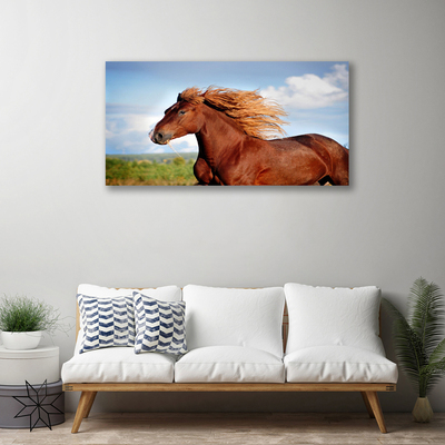 Obraz na plátne Kôň zvieratá