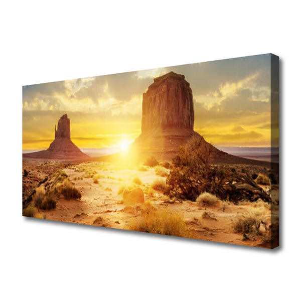 Obraz na plátne Púšť slnko krajina