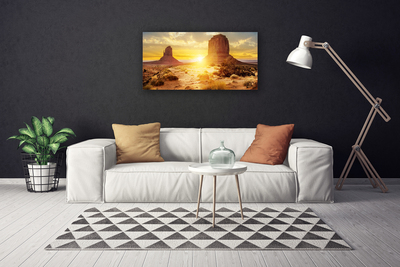 Obraz na plátne Púšť slnko krajina