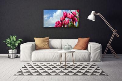 Obraz na plátne Tulipán