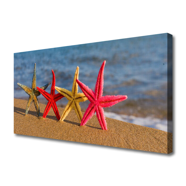Obraz na plátne Pláž hviezdice umenie
