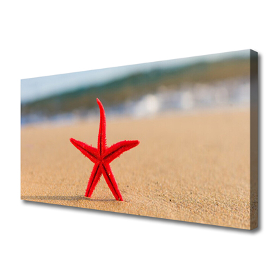 Obraz na plátne Pláž hviezdice umenie