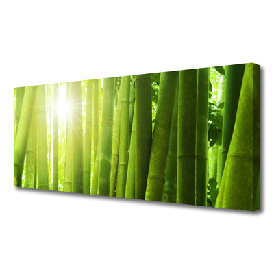 Obraz na plátne Bambus rastlina
