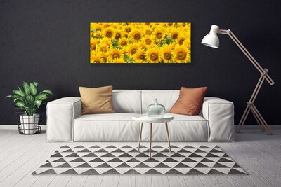 Obraz na plátne Slunecznice rastlina