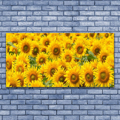 Obraz na plátne Slunecznice rastlina