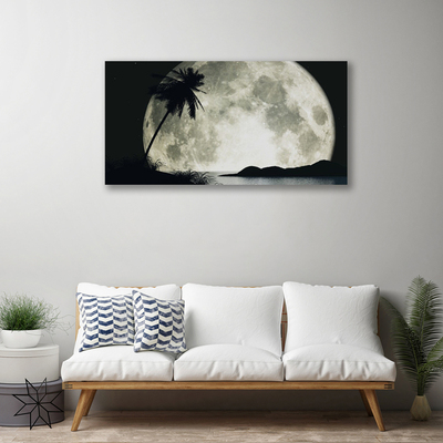 Obraz na plátne Noc mesiac palma krajina