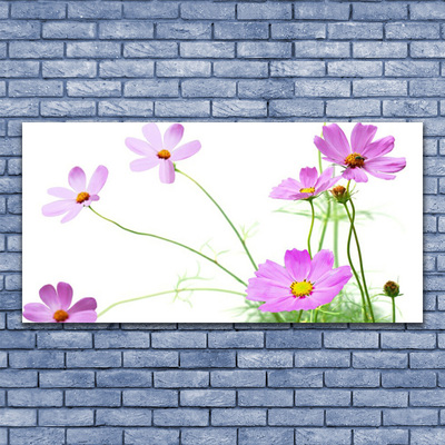 Obraz na plátne Kvety rastlina