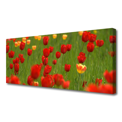 Obraz na plátne Tulipány rastlina