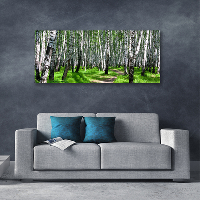 Obraz na plátne Stromy tráva príroda