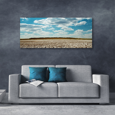 Obraz na plátne Púšť krajina