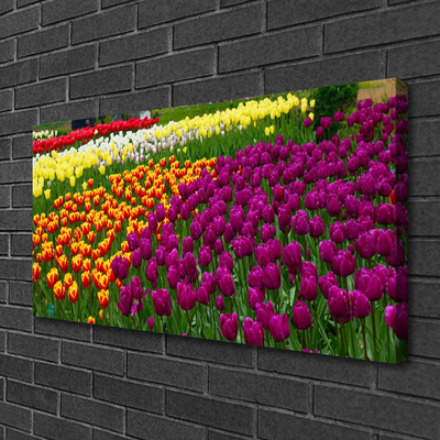 Obraz na plátne Tulipány kvety