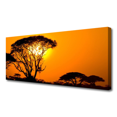 Obraz na plátne Strom slnko príroda