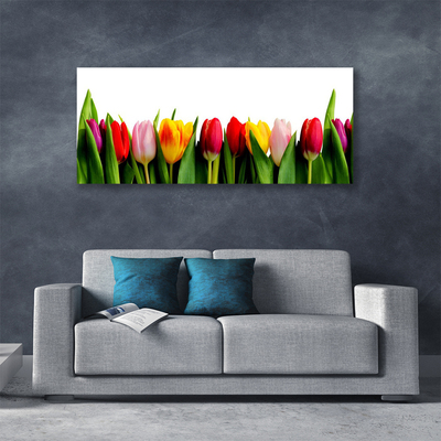 Obraz na plátne Tulipány rastlina