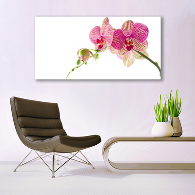 Obraz na plátne Kvety rastlina