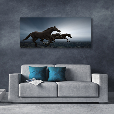 Obraz na plátne Kone zvieratá