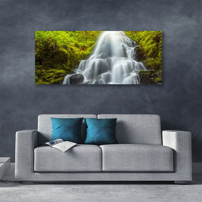 Obraz na plátne Vodopád príroda