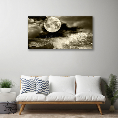 Obraz na plátne Noc mesiac príroda