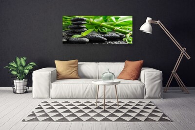 Obraz na plátne Bambus kamene rastlina