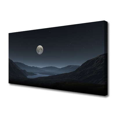 Obraz na plátne Noc mesiac príroda