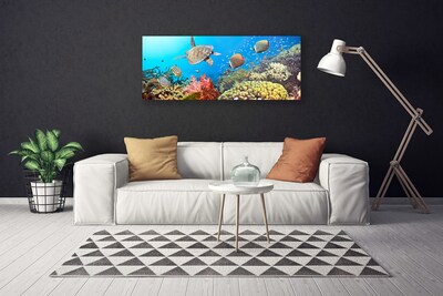 Obraz na plátne Koralový útes krajina