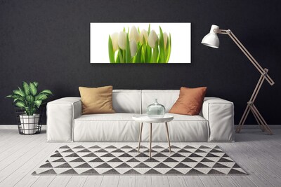 Obraz na plátne Tulipány rastlina príroda
