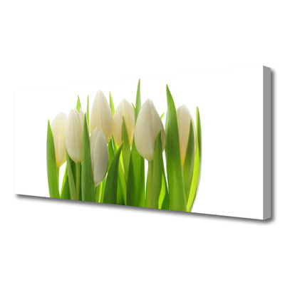 Obraz na plátne Tulipány rastlina príroda