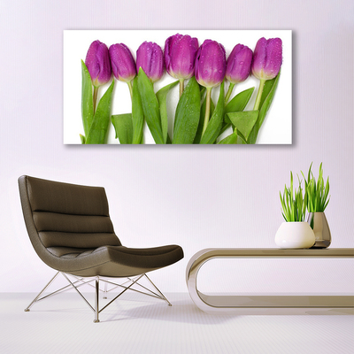 Obraz na plátne Tulipány kvety rastlina