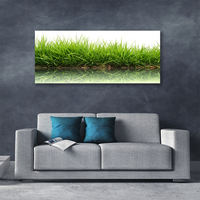 Obraz na plátne Tráva voda príroda rastlina